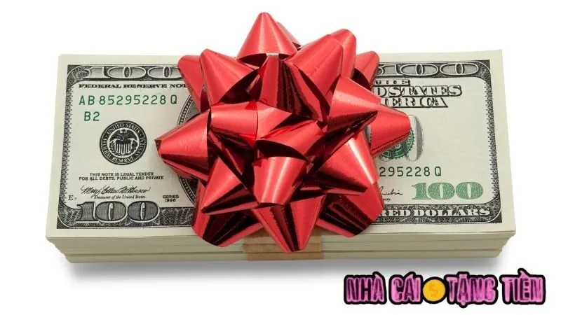 loi-ich-khi-su-dung-code-khoi-nghiep-sanvip